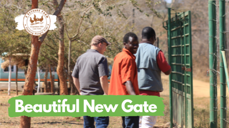 Beautiful New Gate