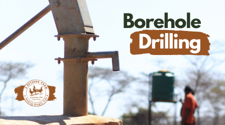 Borehole Drilling